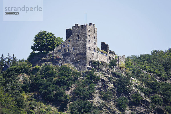 Burg Liebenstein am Rhein  Oberes Mittelrheintal  Rheinland-Pfalz  Deutschland  Europa