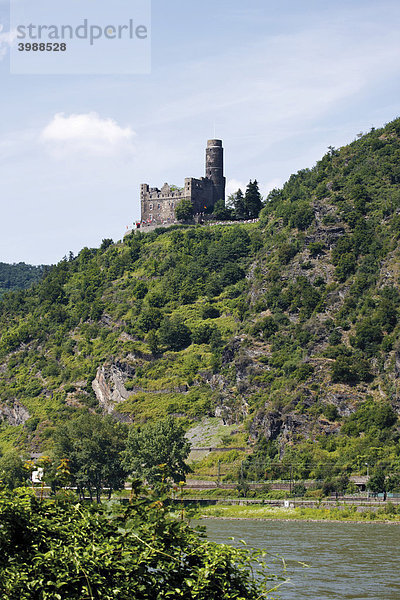 Burg Maus am Rhein  Oberes Mittelrheintal  Rheinland-Pfalz  Deutschland  Europa