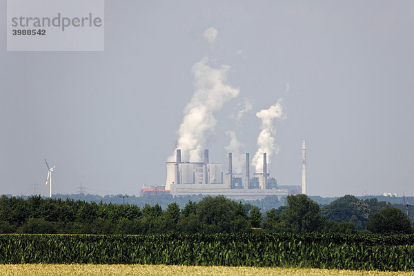 Braunkohle Kraftwerk Frimmersdorf von Hambach aus  Rhein-Erft-Kreis  Nordrhein-Westfalen  Deutschland  Europa