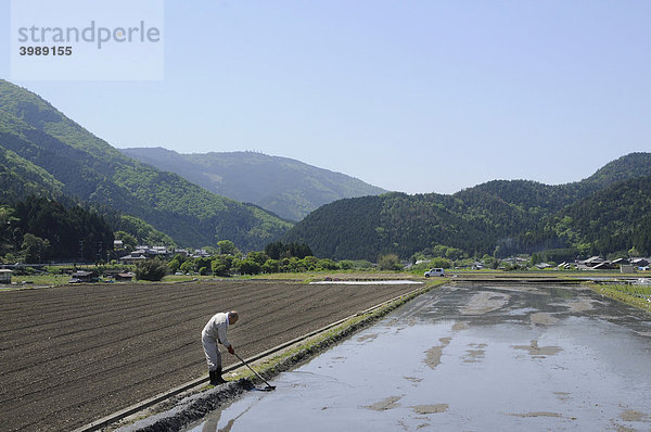 Reisfeld nach einer Flurreform  Reisbauer bessert den Damm am Reisfeld aus  Ohara bei Kyoto  Japan  Asien