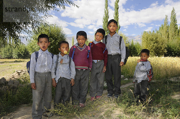 Grundschulkinder auf dem Weg zur Schule  Leh  Ladakh  Nordindien  Himalaja