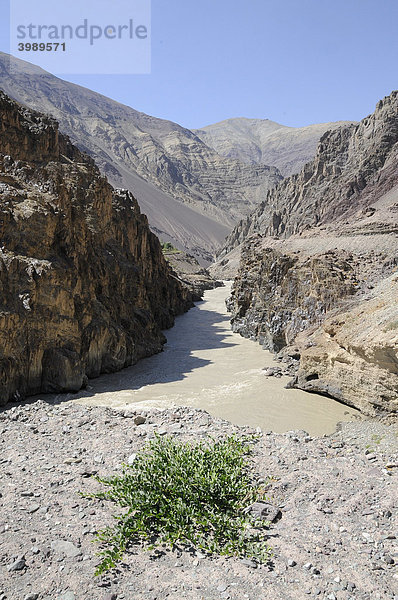 Durchbruchstal des Zangskar zum Indus  Ladakh  Nordindien  Himalaja  Asien