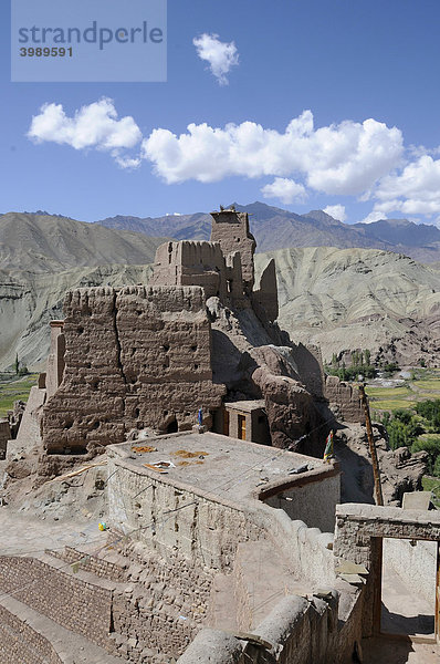 Burgruine und Kloster im Industal  Basgo  Ladakh  Indien  Himalaja  Asien