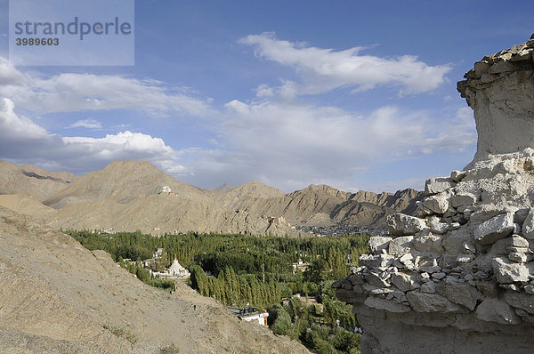 Chörten im Vordergrund und Oase Leh  Ladakh  Indien  Himalaja  Asien