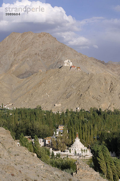 Oase Leh mit Kloster Gonkhang und Burgruine auf dem Berg  Ladakh  Indien  Himalaja  Asien