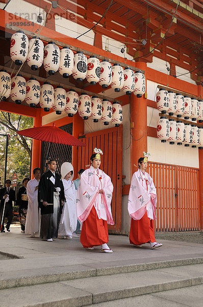 Einmarsch des Brautzuges bei einer shintoistischen Hochzeit durch das Schreintor in den Schreinbereich  angeführt von Mikos  Yasaka Schrein  Maruyama Park  Kyoto  Japan  Asien