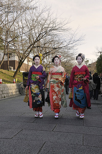 Maiko  Geisha in Ausbildung  im Gion Stadtviertel  Kyoto  Japan  Asien