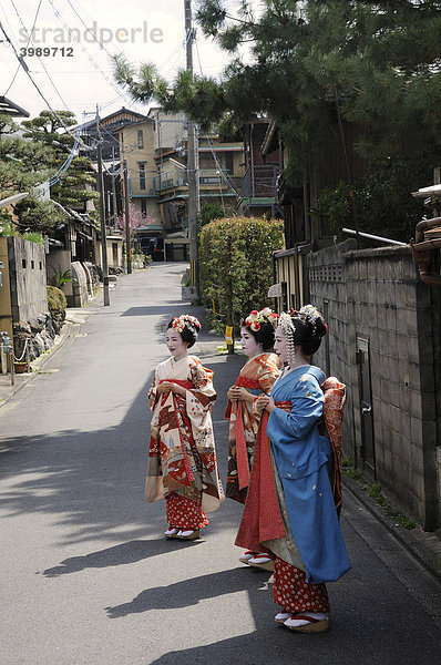 Maikos  Geishas in Ausbildung  im Gionviertel  Kyoto  Japan  Asien