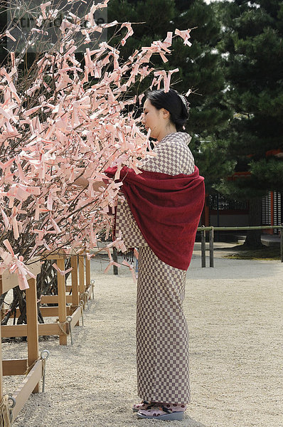 Japanerin im Kimono knotet Gebete und ihre Wünsche an die Sträucher im shintoistischen Heian Schrein  Kyoto  Japan  Asien