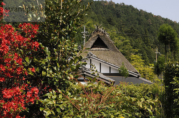 'Reetgedecktes traditionelles Bauernhaus  Gassho  Gasshō