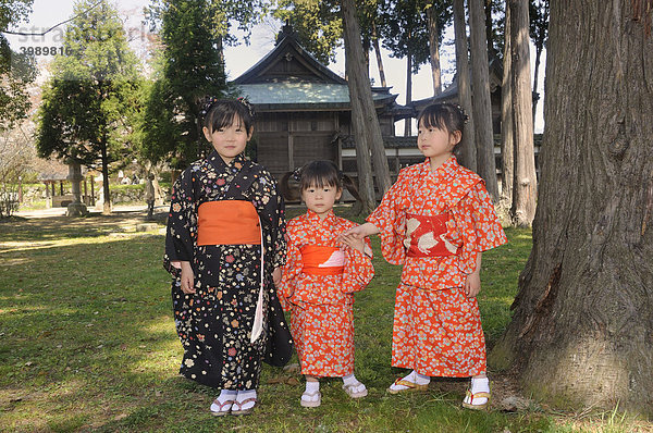Kinder im Kimono während des Kirschblütenfestes in Sasayama  Japan  Asien