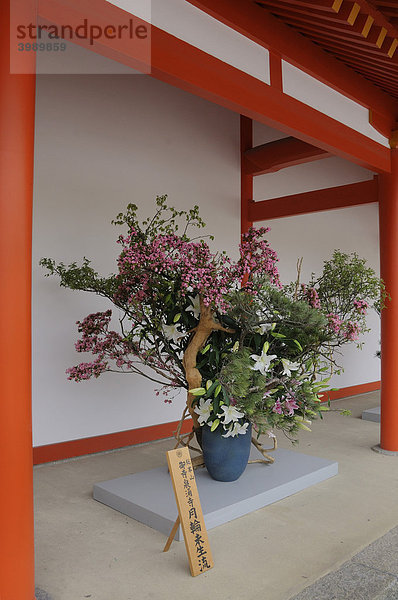 Öffnung des Kaiserpalastes für die breite Öffentlichkeit  zweimal im Jahr  Ikebana im Palastbereich  Kyoto  Japan  Ostasien  Asien