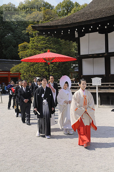 Shinto-Hochzeit mit Schreindienerin im Shimogamo Schrein  Kyoto  Japan  Ostasien  Asien