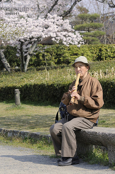 Japaner spielt in der Natur die Shakuhachi  traditionelle Bambusflöte  am Takaraga-ike See in Kyoto  Japan  Ostasien  Asien