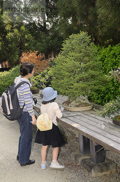 Mutter und Tochter betrachten eine Bonsai Konifere  im Botanischen Garten in Kyoto  Japan  Ostasien  Asien