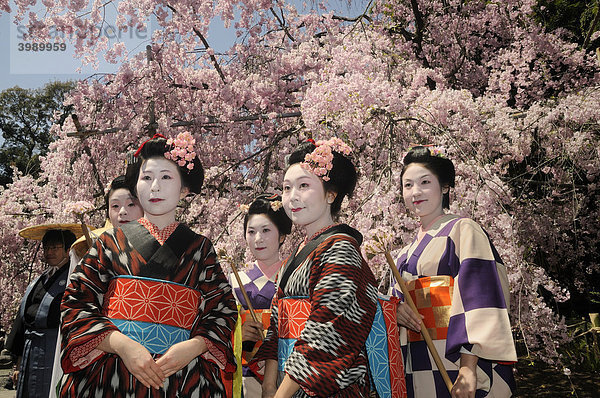 Japanerinnen im Kimono  Prozessionsteilnehmerinnen  Hirano Schrein  Kyoto  Japan  Ostasien  Asien