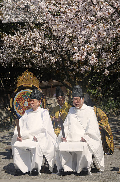 Shinto Priester sitzen bei einer Andacht  Schreinfest während der Kirschblüte am Hirano Shrine  Kyoto  Japan  Ostasien  Asien