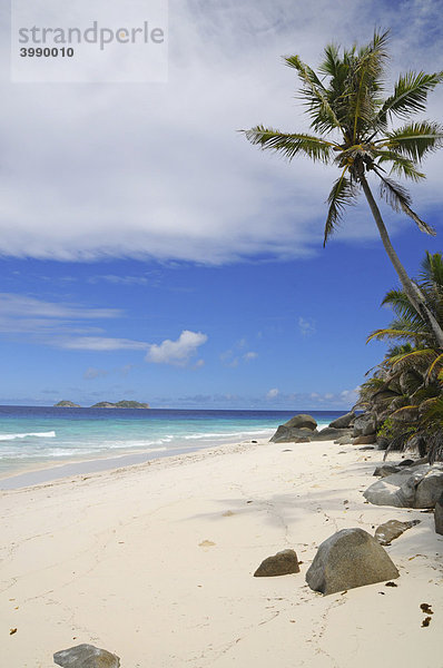 Sandstrand mit Kokospalme  Marianne Island  Seychellen