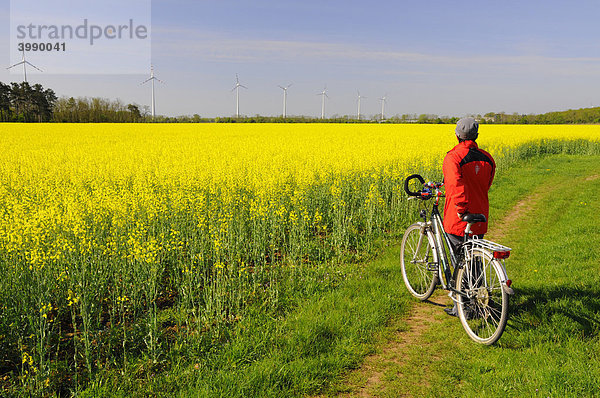 Radfahrerin vor blühendem Rapsfeld zur Biodieselerzeugung und Windrädern  erneuerbare Energien  Marchfeld  Niederösterreich  Österreich  Europa