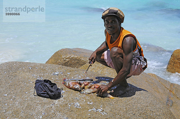 Kreole beim Fische ausnehmen  Anse Georgette  Insel Praslin  Seychellen  Afrika  Indischer Ozean