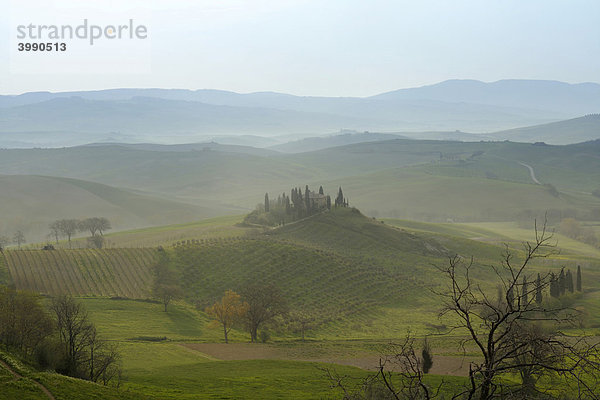 Morgenstimmung  Villa Belvedere  San Quirico d'Orcia  Toscana  Italien  Europa