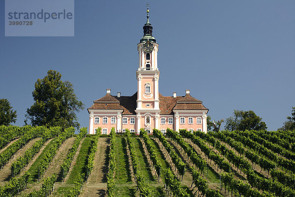 Klosterkirche Birnau  Baden-Württemberg  Deutschland  Europa