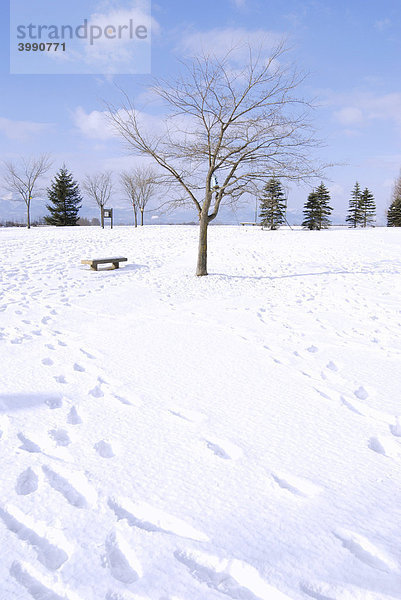 Fußspuren im Schnee  Japan  Asien