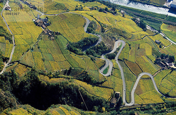 Luftbild  herbstliche Weinberge in St. Justina  Ritten  Eisacktal  Südtirol  Italien