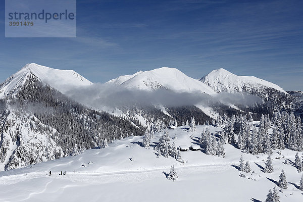 Estergebirge mit Hoher Fricken  Bischof und Krottenkopf  Blick vom Wank  nahe Garmisch-Partenkirchen  Werdenfelser Land  Oberbayern  Bayern  Deutschland