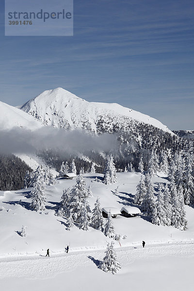 Winterlandschaft im Estergebirge mit Hoher Fricken  Blick vom Wank  nahe Garmisch-Partenkirchen  Werdenfelser Land  Oberbayern  Bayern  Deutschland