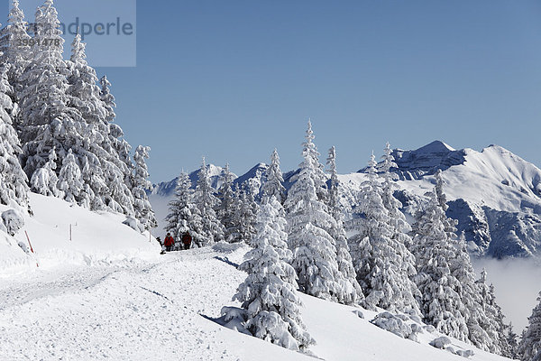 Winterlandschaft mit Spaziergängern  Wank im Estergebirge nahe Garmisch-Partenkirchen  Werdenfelser Land  Oberbayern  Bayern  Deutschland