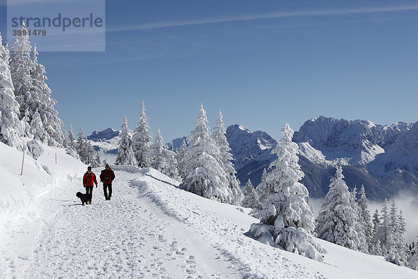 Winterlandschaft mit Spaziergängern  Wank im Estergebirge nahe Garmisch-Partenkirchen  Werdenfelser Land  Oberbayern  Bayern  Deutschland