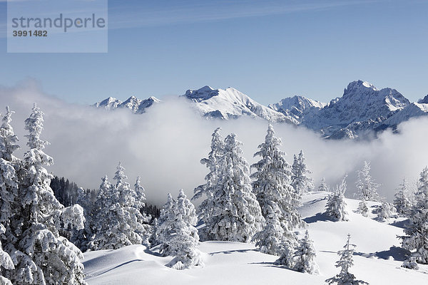 Winterlandschaft auf Wank nahe Garmisch-Partenkirchen  hinten Karwendelgebirge  Werdenfelser Land  Oberbayern  Bayern  Deutschland