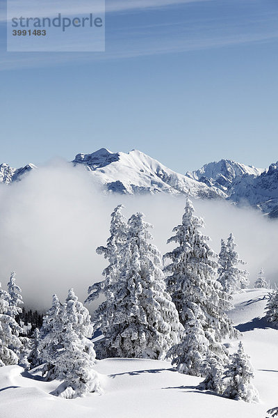 Winterlandschaft auf Wank nahe Garmisch-Partenkirchen  hinten Karwendelgebirge  Werdenfelser Land  Oberbayern  Bayern  Deutschland