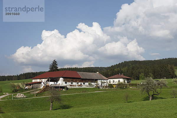 Bauernhof Walchshof bei Freistadt  Mühlviertel  Oberösterreich  Österreich  Europa