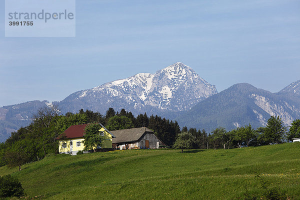 Homitzberg bei Eberndorf  Karawanken  Kärnten  Österreich  Europa