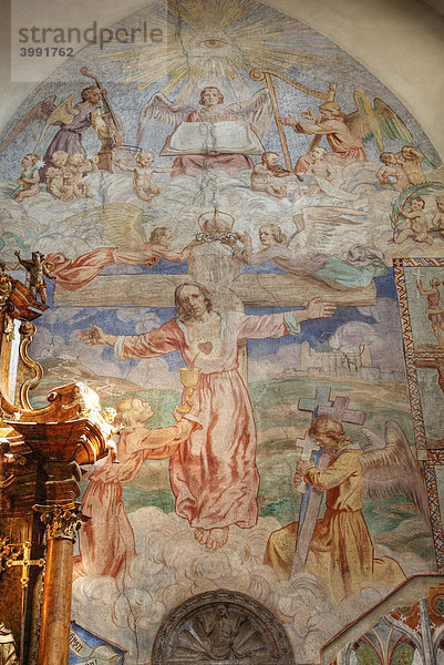 Fresken in Stiftskirche  Stift St. Paul im Lavanttal  Kärnten  Österreich  Europa