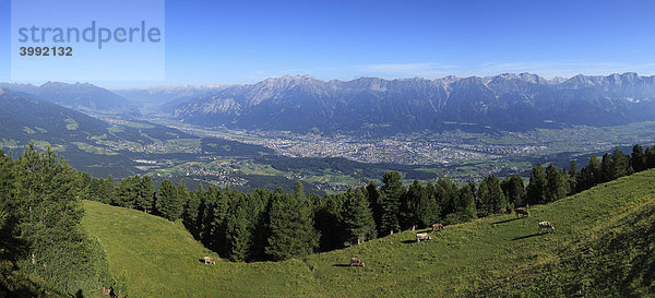 Blick vom Patscherkofel über Inntal  Innsbruck und Nordkette des Karwendel  Tirol  Österreich  Europa
