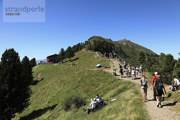 Wanderer auf Zirbenweg am Patscherkofel  Berghütte Boscheben  Tuxer Alpen  Tirol  Österreich  Europa