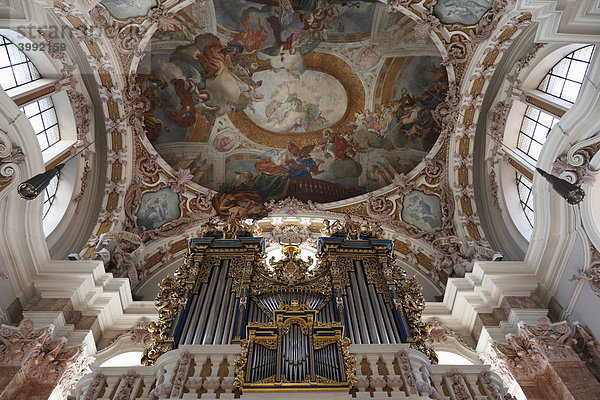 Orgel und Deckenfresko im Dom  Innsbruck  Tirol  Österreich  Europa