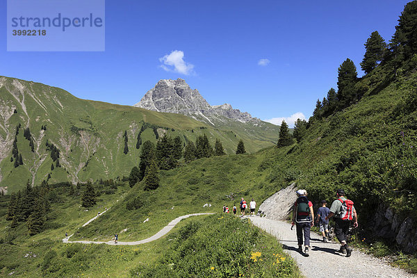 Wanderer am Hochtannbergpass  Lechtaler Alpen  Vorarlberg  Österreich  Europa