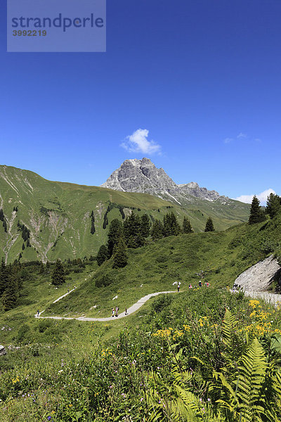 Wanderer am Hochtannbergpass  Lechtaler Alpen  Vorarlberg  Österreich  Europa