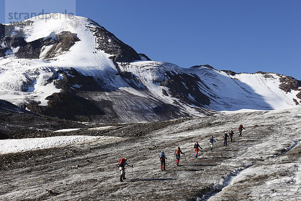 Weißseespitze  Bergsteiger-Gruppe auf Gletscher Weißseeferner  Kaunertal  Ötztaler Alpen  Tirol  Österreich  Europa