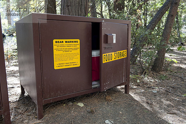 Bärensafe  Yosemite Nationalpark  USA