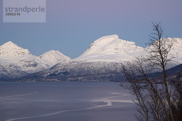 Balsfjorden  Blick von der E8 bei Seljelvnes  Polarnacht  Winter  Tromso  Norwegen  Skandinavien