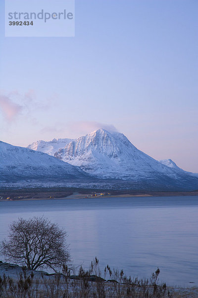 Balsnesodden  Blick auf die Meerenge vom Tromso  Tromsoysundet  Polarnacht  Winter  Tromso  Norwegen