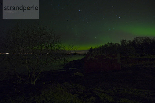 Nordlichter (Aurora Borealis) über dem Tromso Sund  Tromsoysundet  Polarnacht  Winter  Tromso  Troms  Norwegen