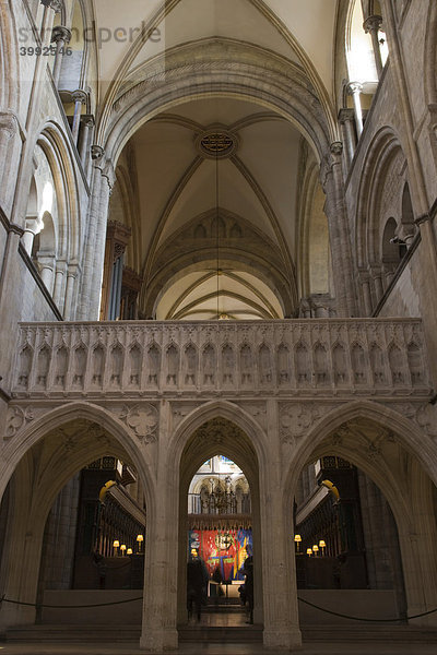 Kirchenschiff mit Hauptturm  Chichester Kathedrale  Sussex  England  Großbritannien