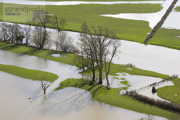 Vom Fluss Towy überflutete Ebene  Wales  Großbritannien
