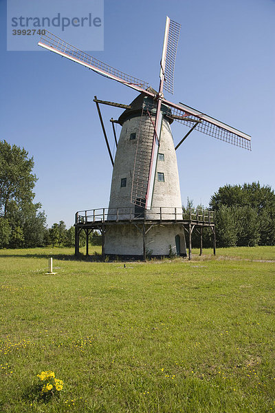 De Eenhoorn  Windmühle  Scheldelaan  Lillo  Antwerpen  Belgien